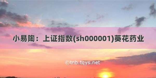 小易陶：上证指数(sh000001)葵花药业