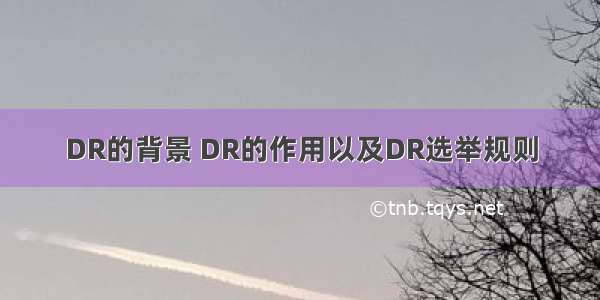 DR的背景 DR的作用以及DR选举规则