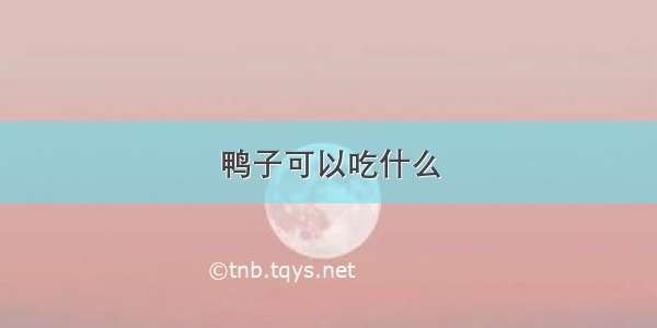 鸭子可以吃什么