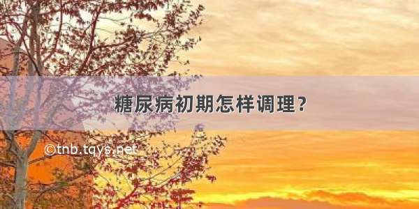 糖尿病初期怎样调理？