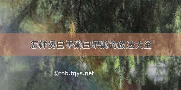 怎样煲白果粥白果粥的做法大全