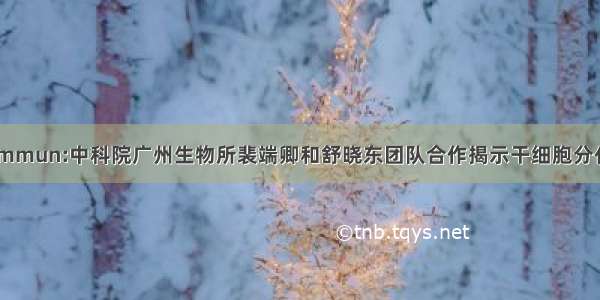 Nat Commun:中科院广州生物所裴端卿和舒晓东团队合作揭示干细胞分化新机制