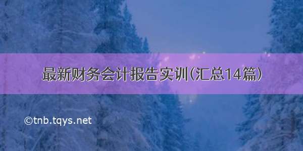 最新财务会计报告实训(汇总14篇)