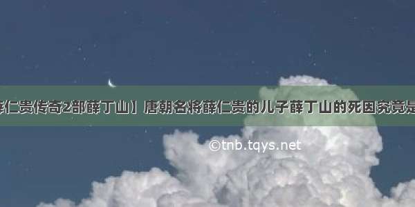 【薛仁贵传奇2部薛丁山】唐朝名将薛仁贵的儿子薛丁山的死因究竟是什么