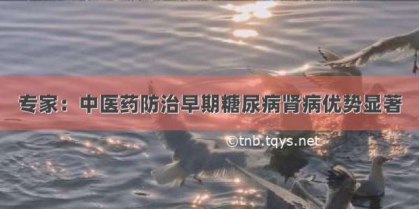 专家：中医药防治早期糖尿病肾病优势显著