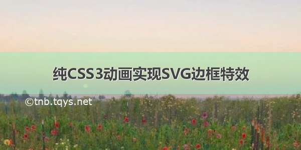 纯CSS3动画实现SVG边框特效