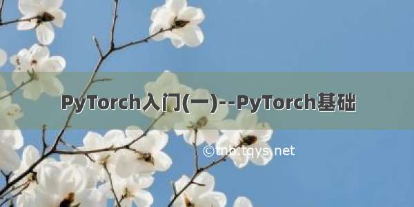 PyTorch入门(一)--PyTorch基础