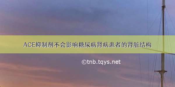 ACE抑制剂不会影响糖尿病肾病患者的肾脏结构