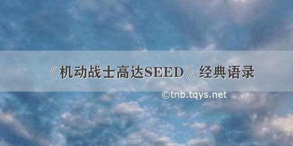 《机动战士高达SEED》经典语录