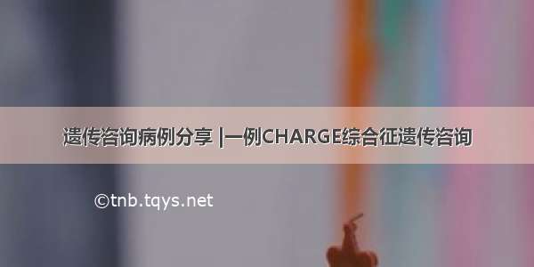 遗传咨询病例分享 |一例CHARGE综合征遗传咨询