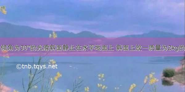 如图所示 倾角为30°的光滑斜面静止在水平地面上 斜面上放一质量为2kg的小球 球被