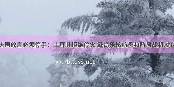 法国放言必须停手：土耳其拒绝停火 戴高乐核航母和阵风战机就位