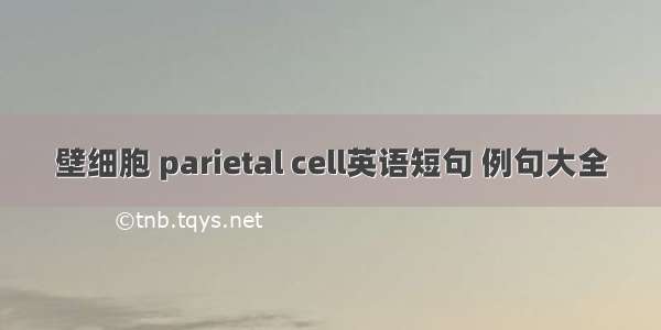 壁细胞 parietal cell英语短句 例句大全