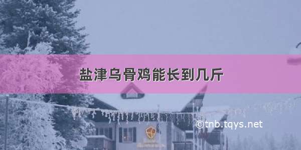 盐津乌骨鸡能长到几斤