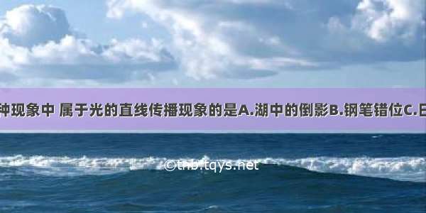 如图所示的四种现象中 属于光的直线传播现象的是A.湖中的倒影B.钢笔错位C.日食D.林中光线