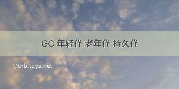 GC 年轻代 老年代 持久代