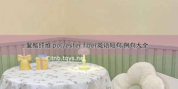 聚酯纤维 polyester fiber英语短句 例句大全