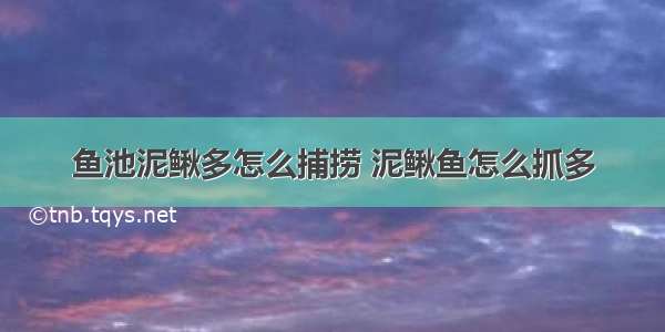 鱼池泥鳅多怎么捕捞 泥鳅鱼怎么抓多