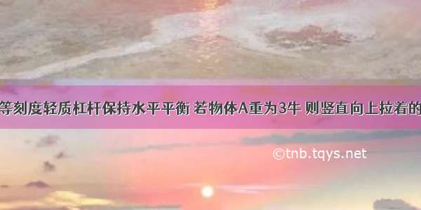 如图所示的等刻度轻质杠杆保持水平平衡 若物体A重为3牛 则竖直向上拉着的弹簧测力计