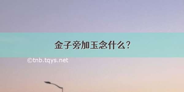 金子旁加玉念什么？