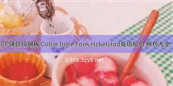 LCP锁骨钩钢板 Collar bone hook nickelclad英语短句 例句大全