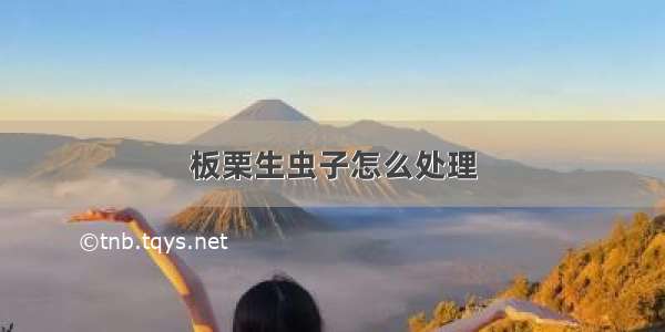 板栗生虫子怎么处理