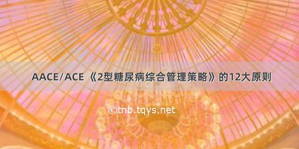  AACE/ACE 《2型糖尿病综合管理策略》的12大原则