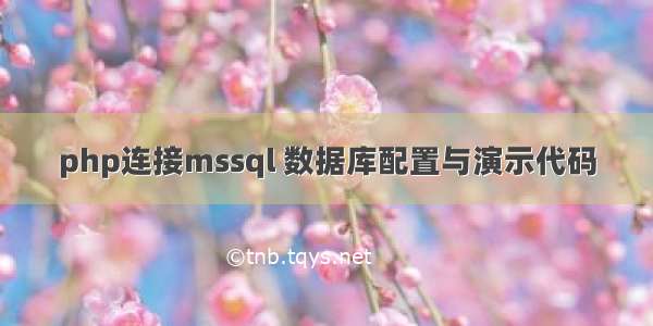 php连接mssql 数据库配置与演示代码