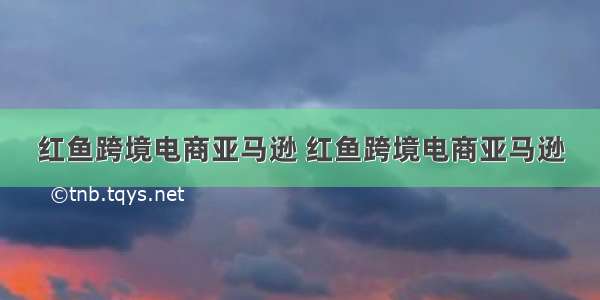 红鱼跨境电商亚马逊 红鱼跨境电商亚马逊