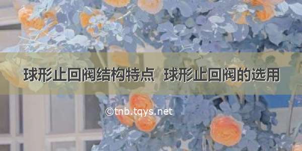 球形止回阀结构特点  球形止回阀的选用