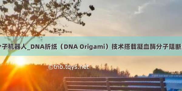 凝血酶分子机器人_DNA折纸（DNA Origami）技术搭载凝血酶分子阻断肿瘤供血