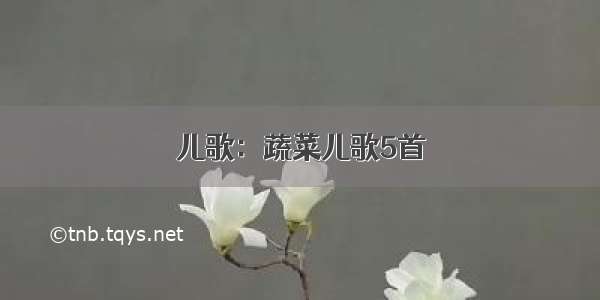 儿歌：蔬菜儿歌5首