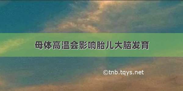 母体高温会影响胎儿大脑发育