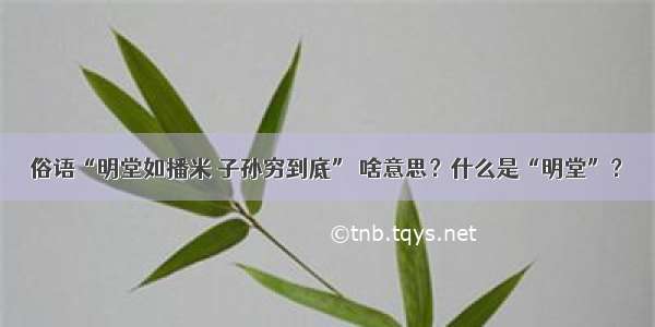 俗语“明堂如播米 子孙穷到底” 啥意思？什么是“明堂”？