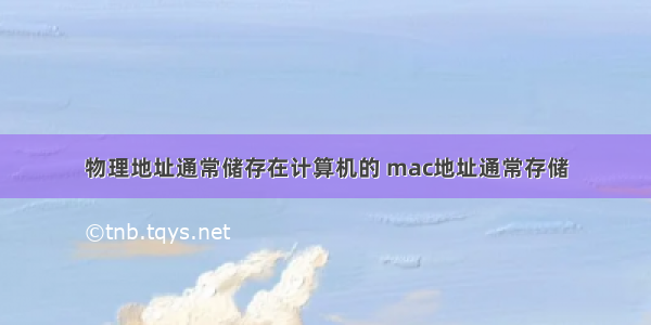 物理地址通常储存在计算机的 mac地址通常存储