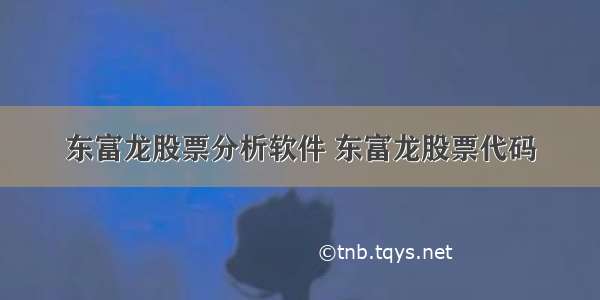 东富龙股票分析软件 东富龙股票代码