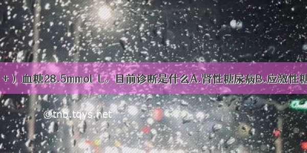 提示：尿酮（+） 血糖28.5mmol／L。目前诊断是什么A.肾性糖尿病B.应激性糖尿病C.甲状