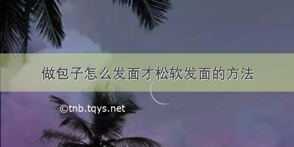 做包子怎么发面才松软发面的方法