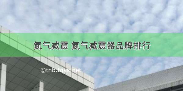 氮气减震 氮气减震器品牌排行