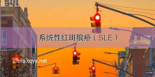 系统性红斑狼疮（SLE）