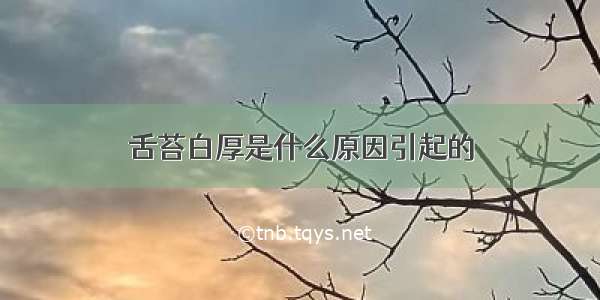 舌苔白厚是什么原因引起的