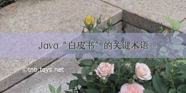 Java“白皮书”的关键术语