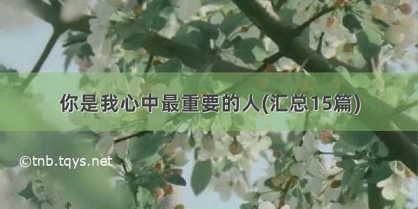 你是我心中最重要的人(汇总15篇)