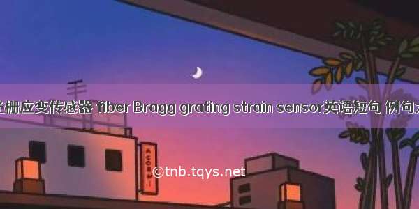 光纤光栅应变传感器 fiber Bragg grating strain sensor英语短句 例句大全