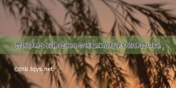 兽医诊断心得体会实用 兽医临床治疗学心得体会(4篇)