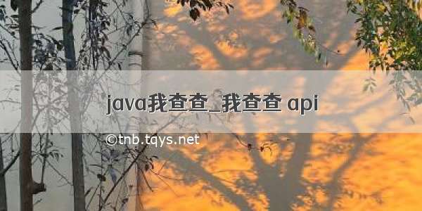 java我查查_我查查 api