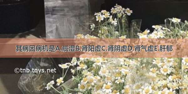 其病因病机是A.痰湿B.肾阳虚C.肾阴虚D.肾气虚E.肝郁