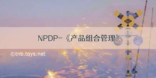NPDP-《产品组合管理》