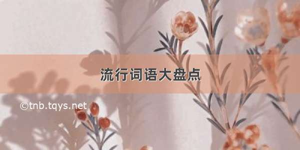 流行词语大盘点