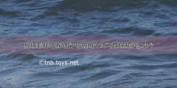 应该怎样选养仓鼠 它的的生活习性你知道多少？